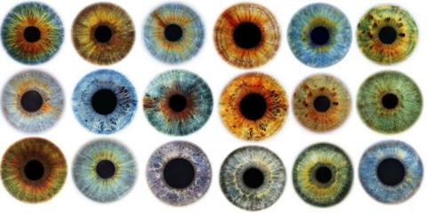 ألوان العيون … أنواعها وصفاتها وأسرار الألوان
