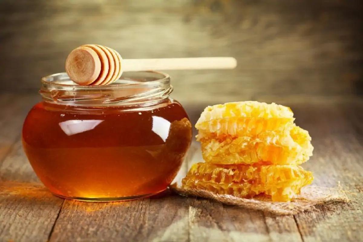 عسل السدر الجبلي … منتج طبيعي مذهل