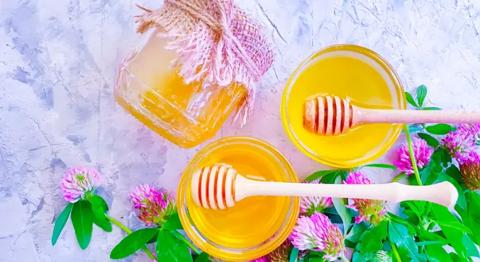 عسل البرسيم … عسل الجمال والصحة